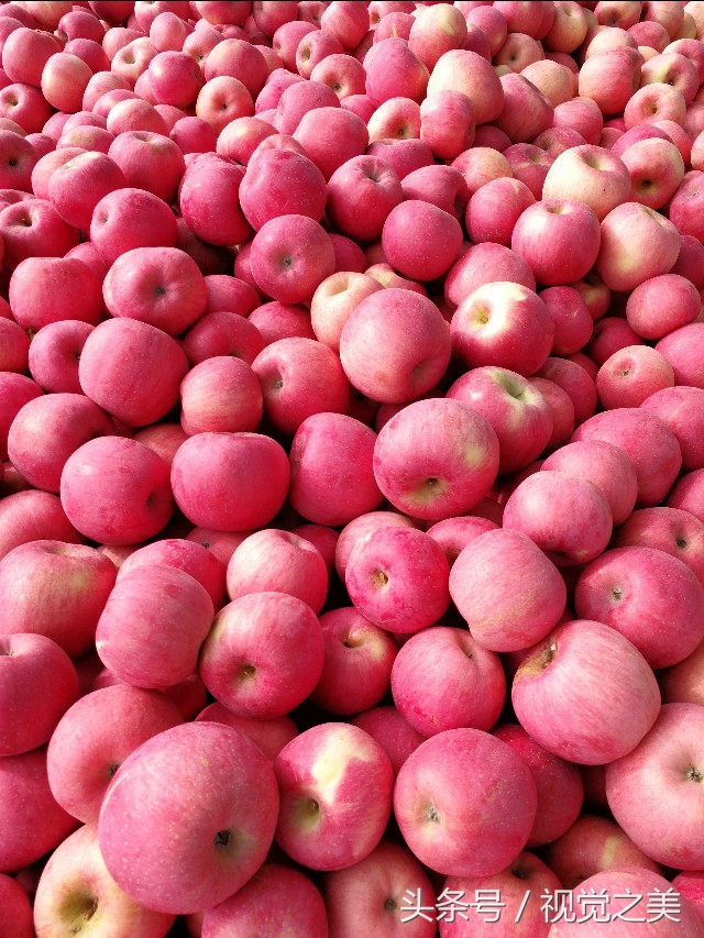 金秋最美的家园,金秋农家院