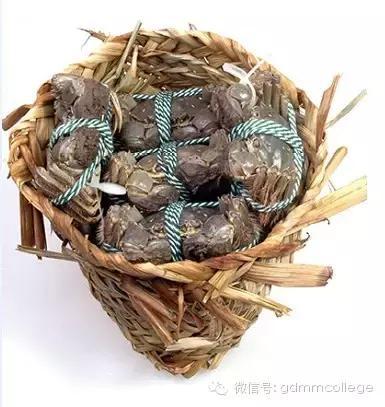 大闸蟹生活常识大全,大闸蟹你不知道的一些知识点
