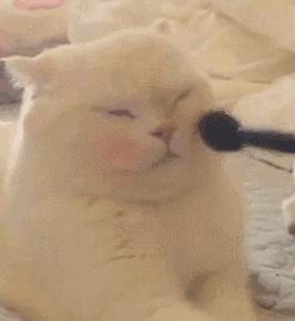 香奈儿立体臻魅10号睫毛膏价格 (香奈儿极致深邃大眼幻彩睫毛膏)