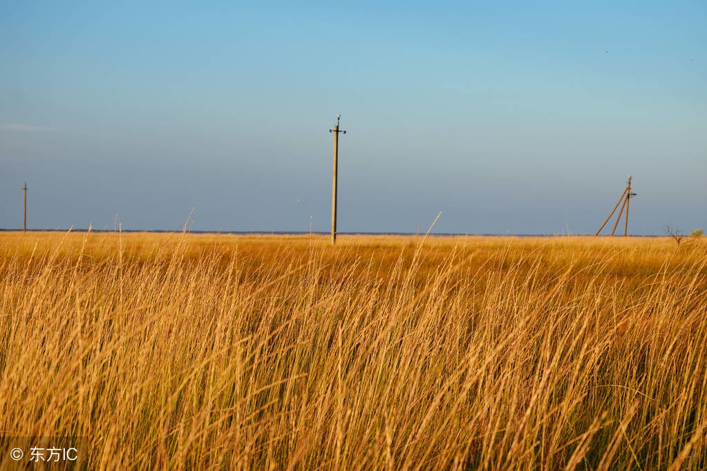 米隆老爹介绍,米隆老爹解读