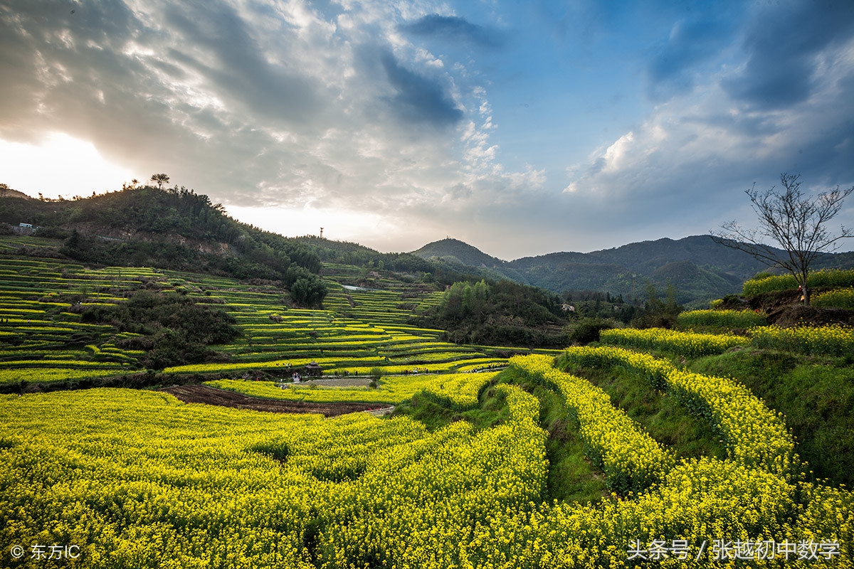 一元二次方程根的判别式教学视频,二元一次方程有实根的判别式