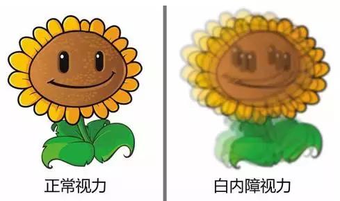 眼镜的正确使用和错误使用图片,正确的用眼方法和保护眼睛的方法