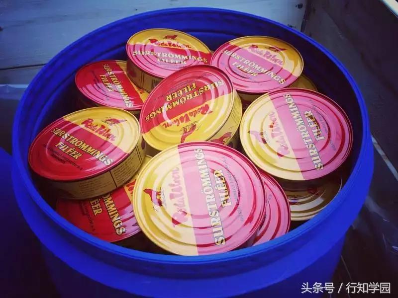 岛国最“臭”的食物该怎么运输？一不小心就变成“生化”*器武**！