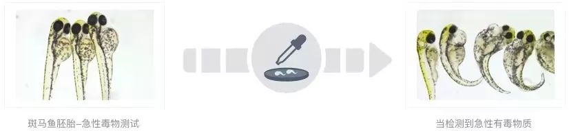 浸会大学最新发现:防晒霜也可影响生殖能力!