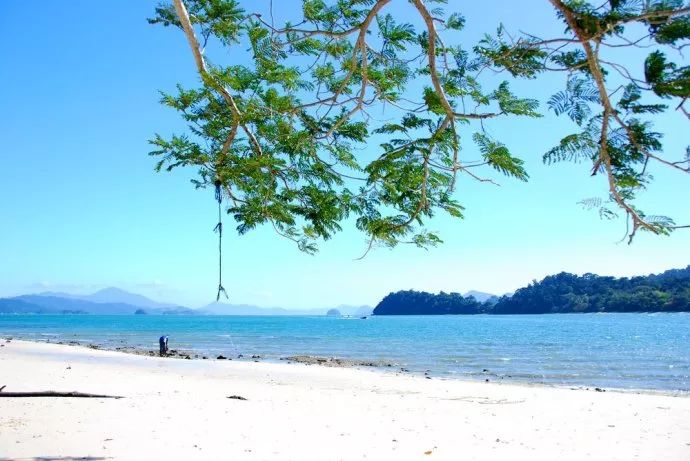 李茶的姑妈海景大别墅,李茶的姑妈在马来西亚