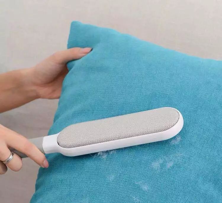 哈哈哈哈哈哈哈哈这届猫奴的智商有点高!