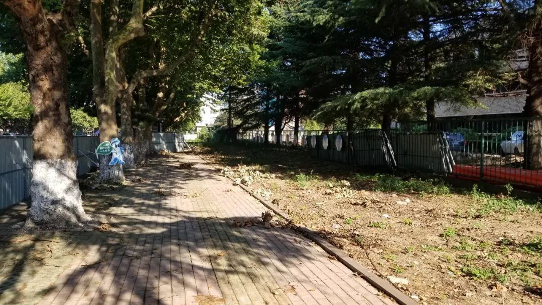 美了美了钢琴曲二胡,美了美了越南红歌