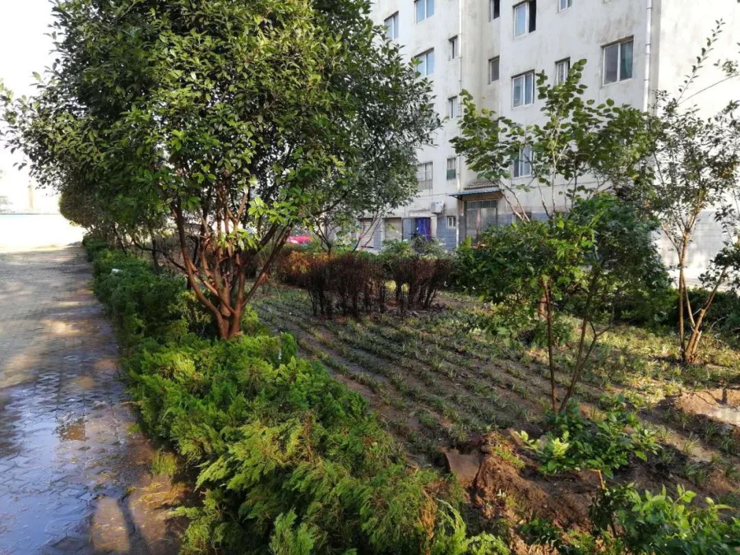 美了美了钢琴曲二胡,美了美了越南红歌