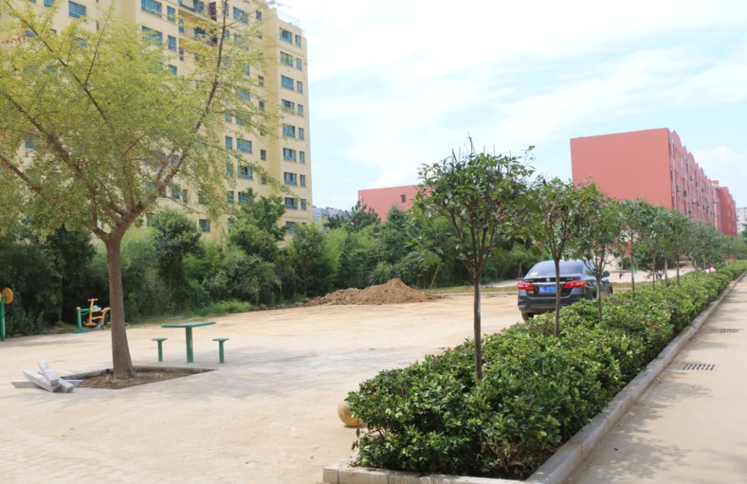 美了美了钢琴曲二胡,美了美了越南红歌