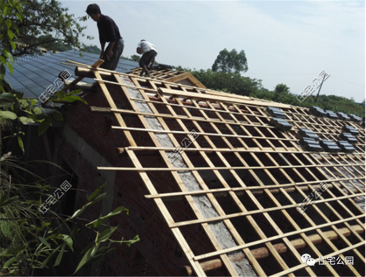 农村人养老还是一层好，四川小伙28万为父母建三合院，美到没邻居