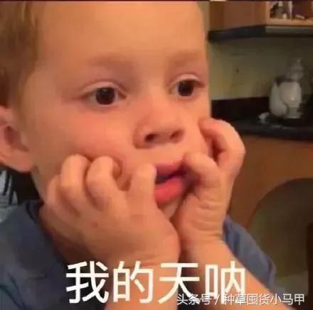 网上代购是真是假,真代购和假代购的区别