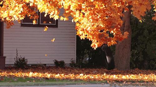 秋日上海城市漫步,秋日的上海街道