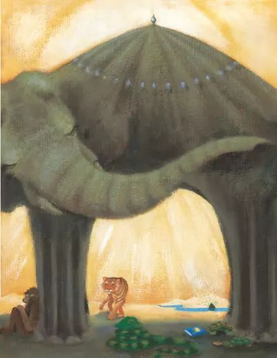 儿童足球绘本100本,5岁小孩足球课程书