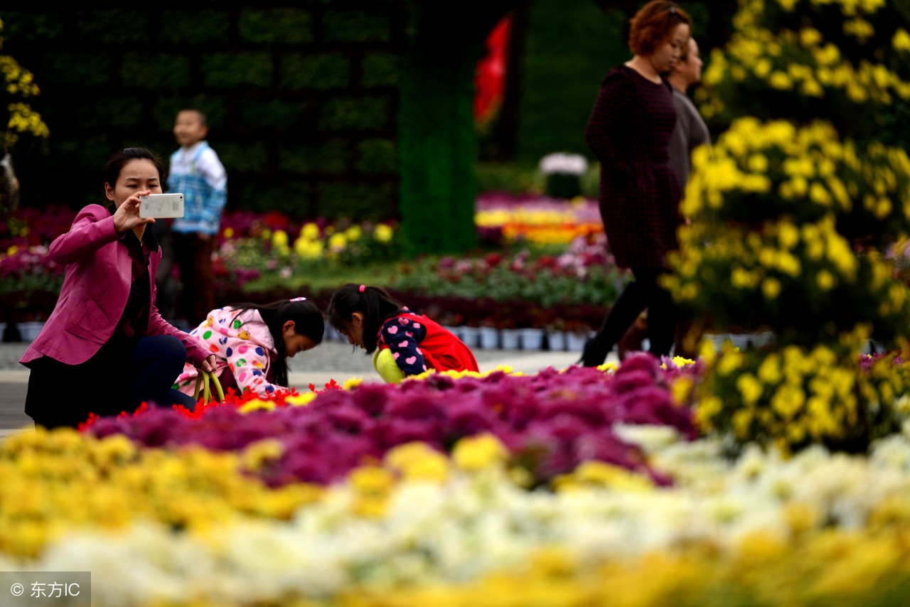 九月九重阳节还有哪些活动,九月九重阳节有什么讲究呢