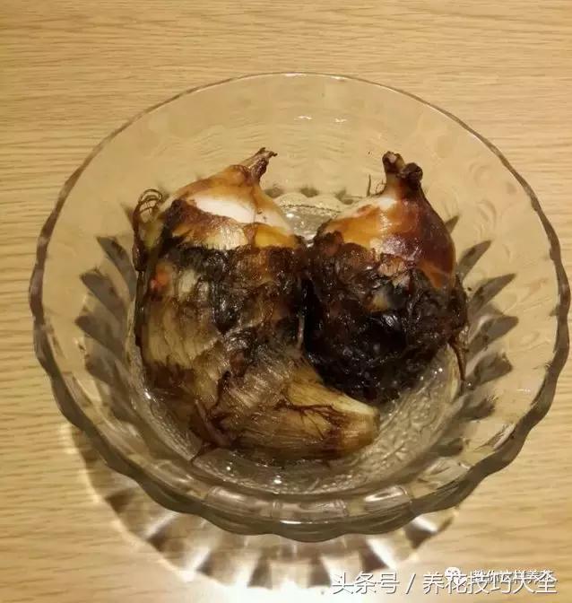 盆栽花生的变化,最好看的盆栽花生