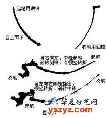 国画基础梅花的几种画法,徐湛国画梅花的画法视频