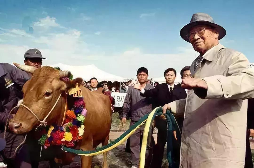 中国与朝鲜联合演出,中国和韩国朝鲜