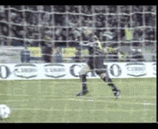 罗纳尔多是什么族,罗纳尔多全部名字