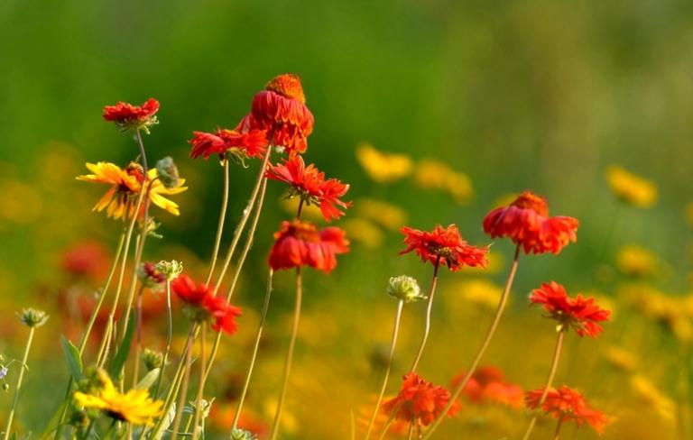 人在穷时要改掉自己的几个习惯,人穷时改掉三个习惯就会变富