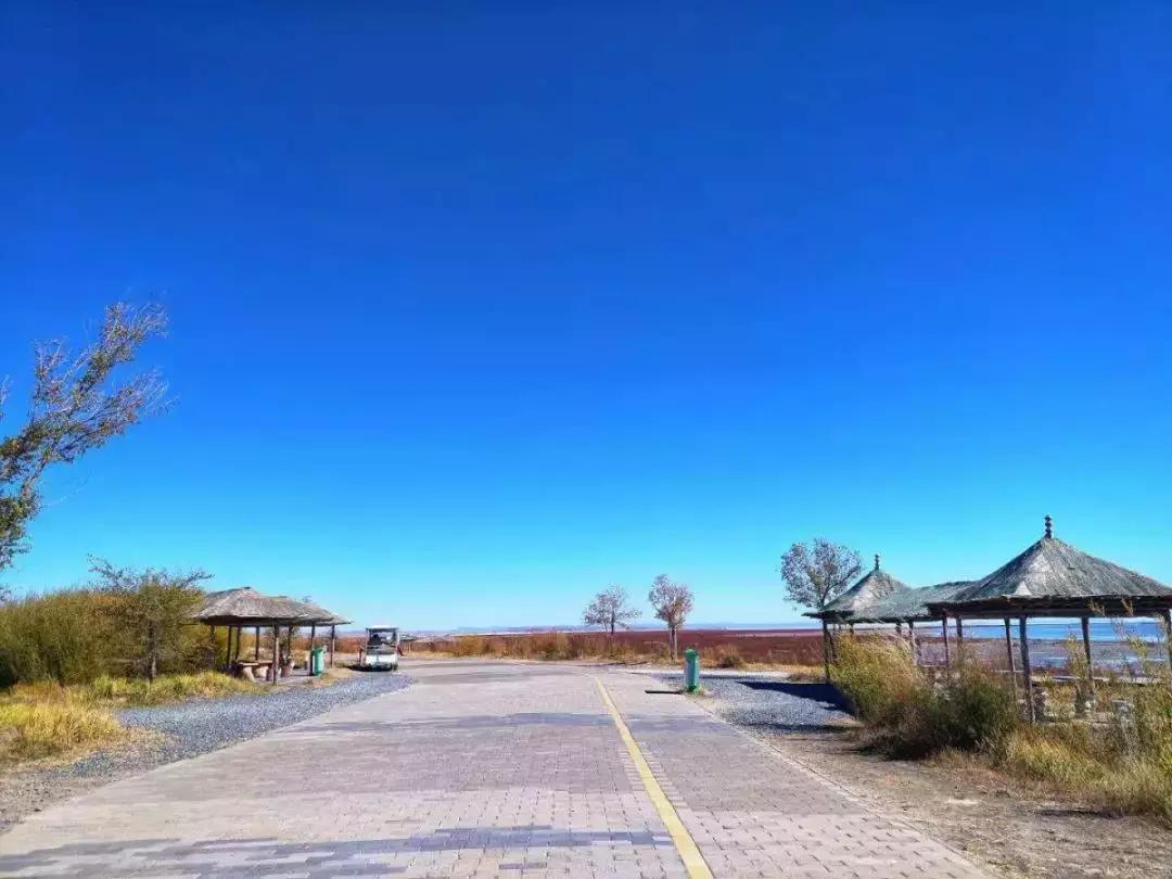 散文深秋的感悟,散文深秋时光