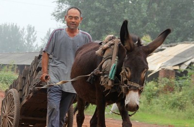 农村过年去旅游好吗,农民节日出去旅游