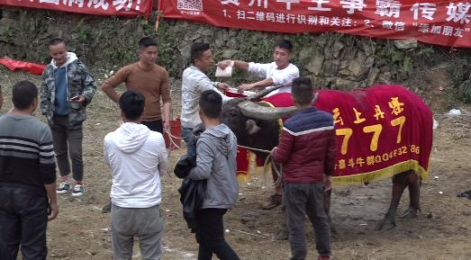 前呼后拥！777号“霸王龙”不负众望笑傲丹寨高排