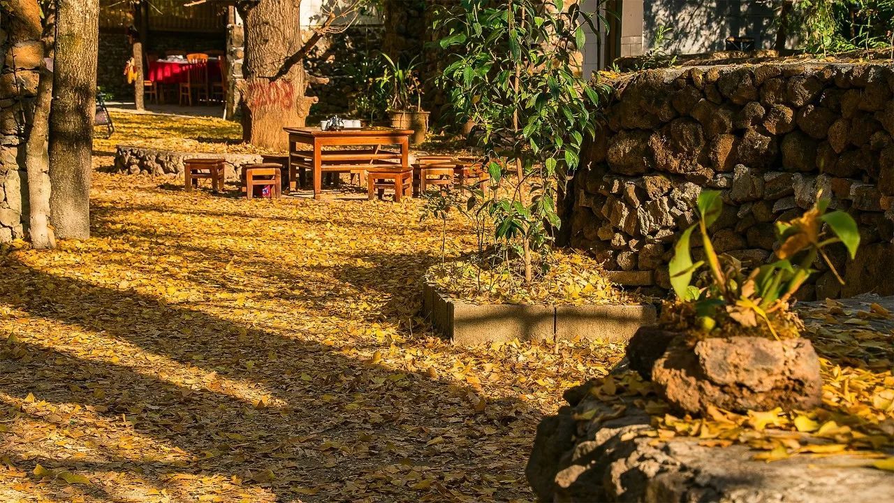 看火山泡温泉：北回归线上四季如春的腾冲特有的温暖