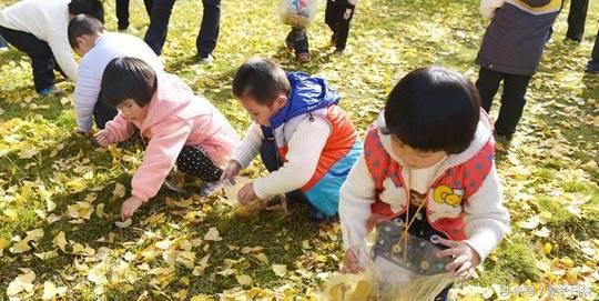 上海私立幼托机构名单,上海100多所托幼园