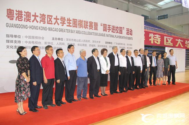 大湾区青少年围棋大赛,粤港澳大湾区围棋联赛