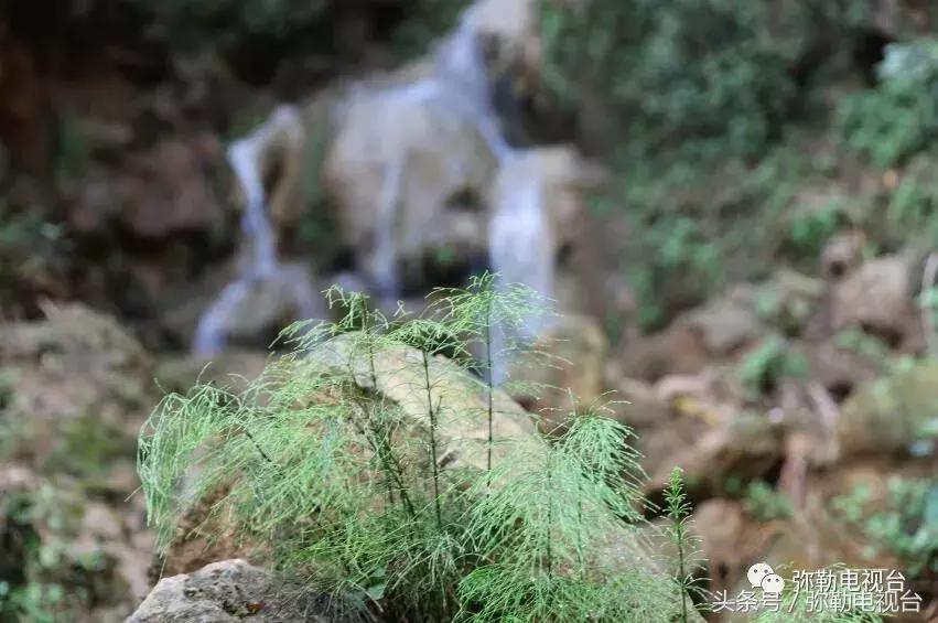 云南红河弥勒瀑布,弥勒滴水滩瀑布