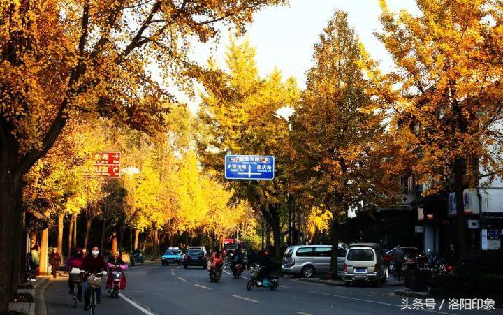 洛阳机场客流,2019年洛阳机场客流