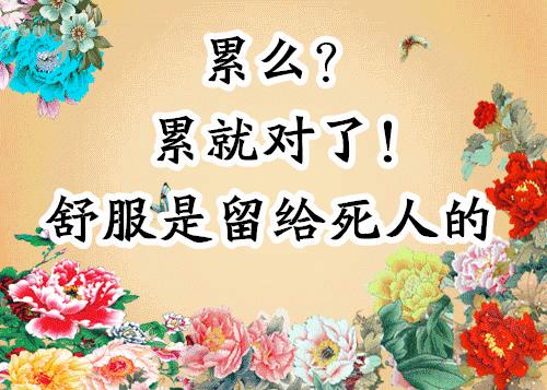 会动的图片21张太美了,会动的风景图片大全