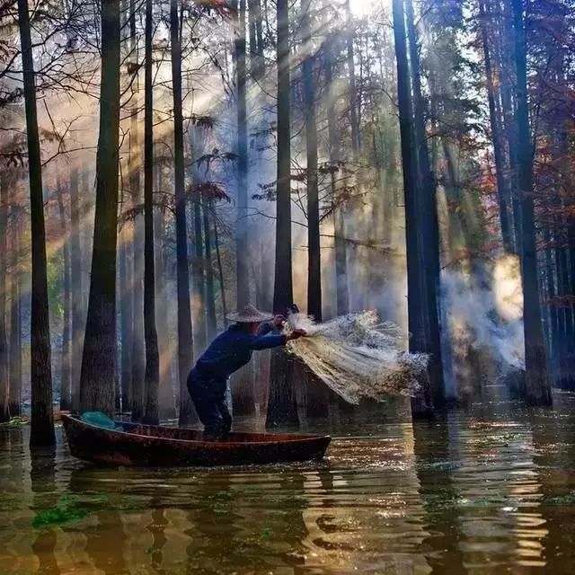 不要去杭州,杭州西湖值得去的地方