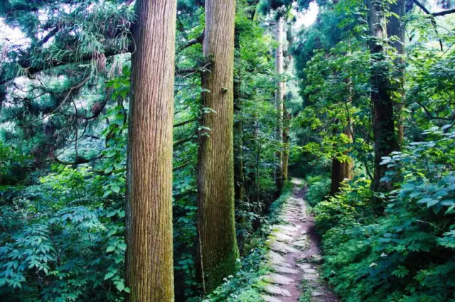 不要去杭州,杭州西湖值得去的地方