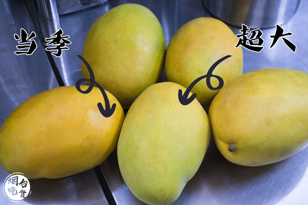 舌尖上的上海之素匠泰茶,泉州泰茶