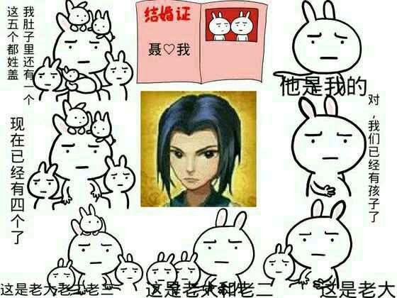 秦时明月第一季卫庄提及蓉姑娘,秦时明月蓉姑娘醒了吗