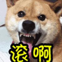 日版防晒有哪些,日系防晒本土版和国际版有区别吗