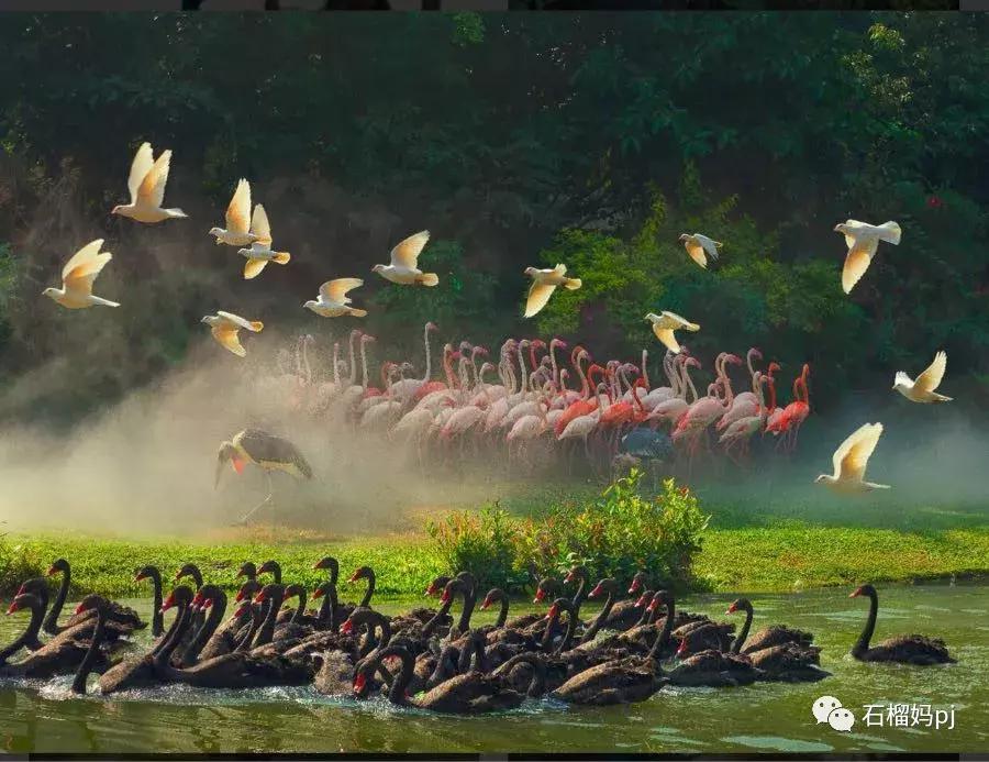 骞垮窞闀块殕椋為笩涔愬洯绁ㄤ环,闀块殕椋為笩涔愬洯灏忓绁ㄤ环