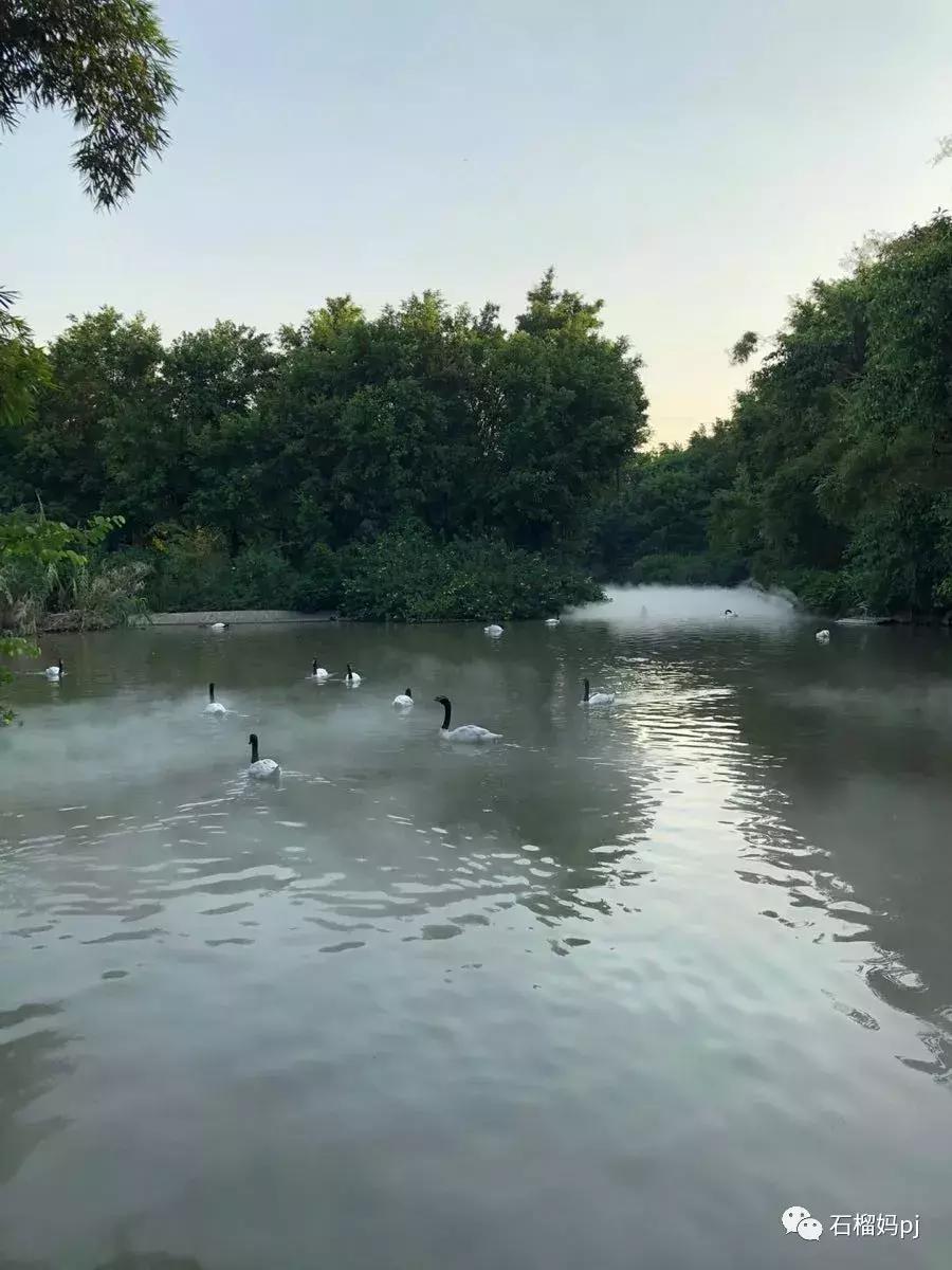 骞垮窞闀块殕椋為笩涔愬洯绁ㄤ环,闀块殕椋為笩涔愬洯灏忓绁ㄤ环