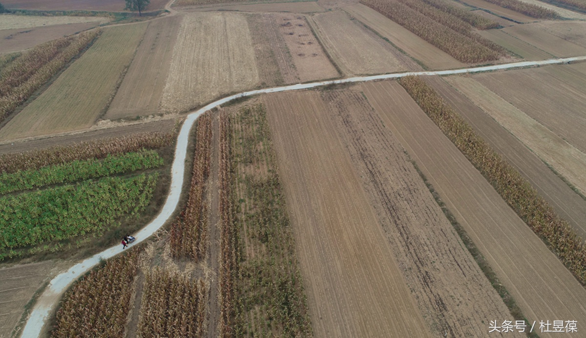 爱你永不放弃电视剧免费观看,爱你永不放弃电视连续剧