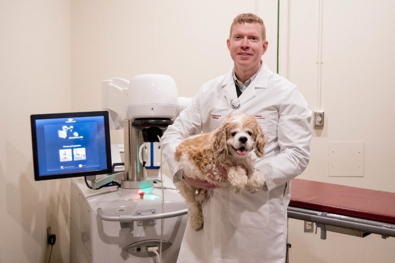 检测狗检测些什么,检测狗狗智商