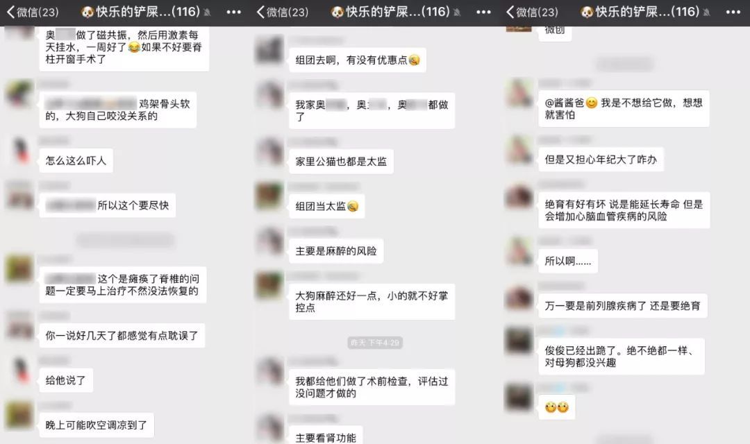 宠物皮肤病科普和治疗,宠物医生奇葩问题