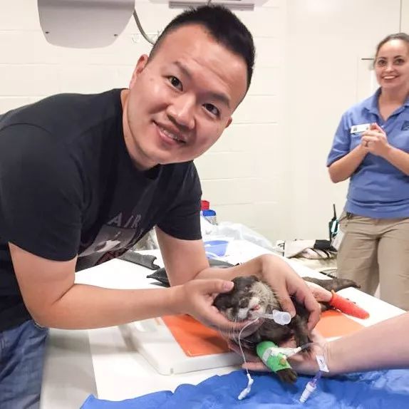 宠物皮肤病科普和治疗,宠物医生奇葩问题