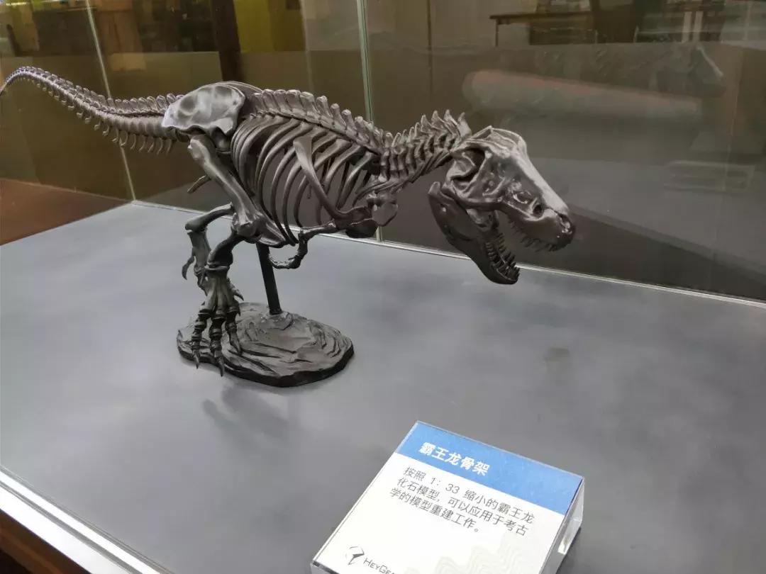 2019广州国际灯光节策划案,广州国际灯光节现状