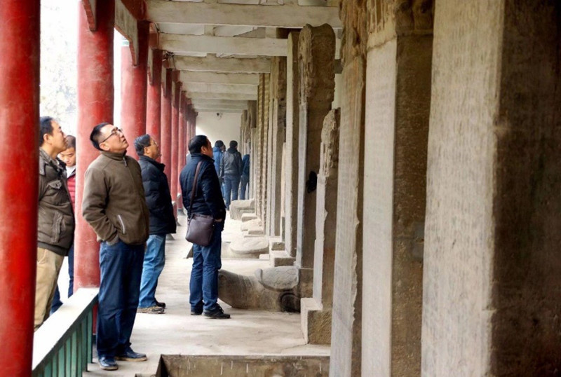 河北邢台隆尧泽畔抬阁视频,邢台旅发大会