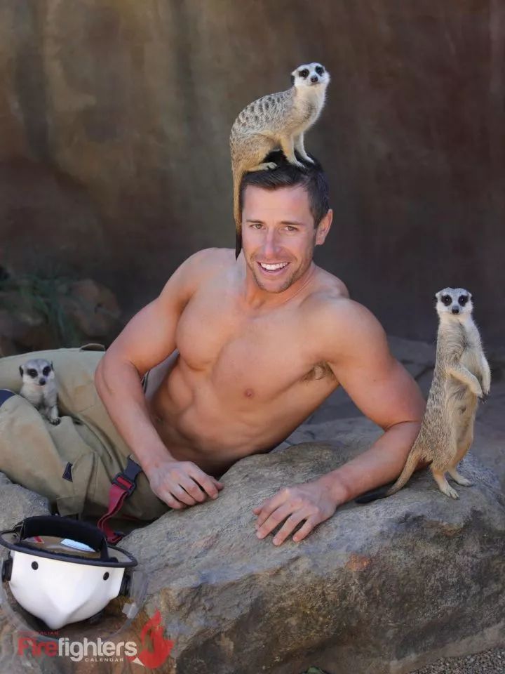 一组热到爆的猫片，对不起我要流鼻血了……