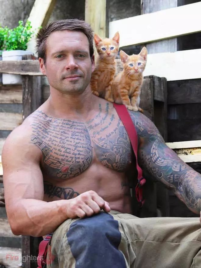 一组热到爆的猫片，对不起我要流鼻血了……