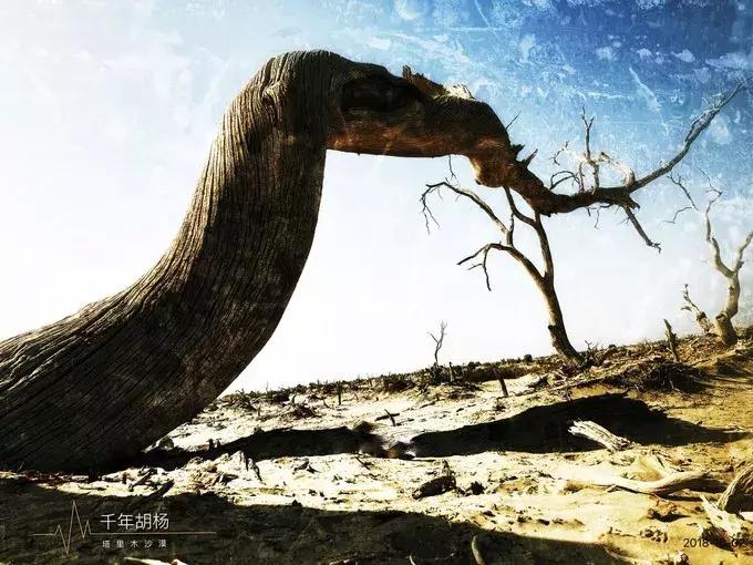 这一生一定要去的地方中国,旅行攻略此生必去的12个地方