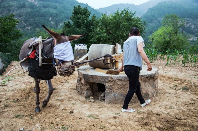 熬出久违的米油，好喝养胃！给家人最好的呵护！