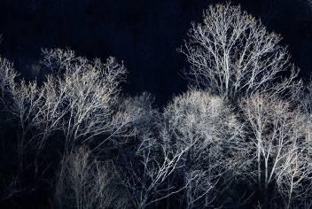 单反数码摄影入门教程,数码单反摄影进阶完全教程